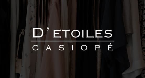 Voorbeeld webshop detoilescasiope.com