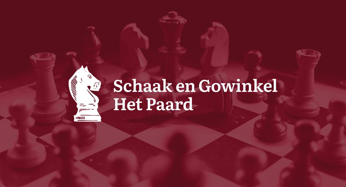 Voorbeeld webshop schaakengo.nl